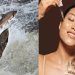 The Bio-Tech Frontier: Decoding the Million-Dollar Allure of Salmon Sperm DNA in Luxury Skincare