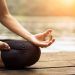 The Sovereign Mind: 3 Elite Meditation Disciplines to Command Corporate Stress and Cultivate Internal Fortune