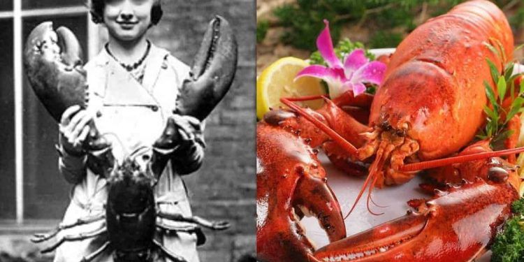 The Crustacean Renaissance: How the Lobster Transcended Marginality to Claim the Apex of Haute Cuisine