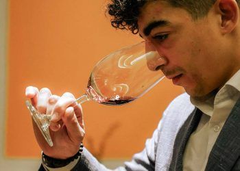 The Oenological Blueprint: Decoding Wine Tasting as a High-Society Art Form and Emotional Journey