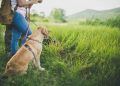 The Four-Legged Sovereign: Decoupling Pet Companionship from Domestic Constraints in High-Society Travel