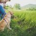 The Four-Legged Sovereign: Decoupling Pet Companionship from Domestic Constraints in High-Society Travel